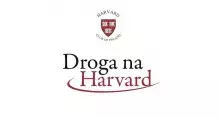 Droga na Harvard