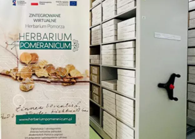 Dzień otwarty herbarium Uniwersytetu Gdańskiego - relacja