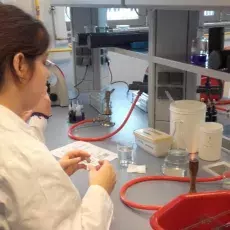 "Barwienie i obserwacja preparatów komórek bakteryjnych", prowadząca: dr Beata Furmanek-Blaszk (Katedra Mikrobiologii)