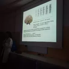 dr Dorota Myślińska z Katedry Fizjologii Zwierząt i Człowieka prowadzi zajęcia pt. "Co w głowie piszczy -  mózg pod lupą i mikro