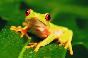 biologia_medyczna