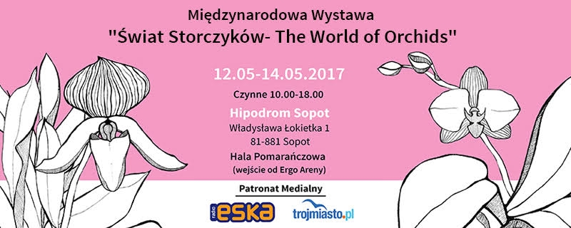 Świat storczyków