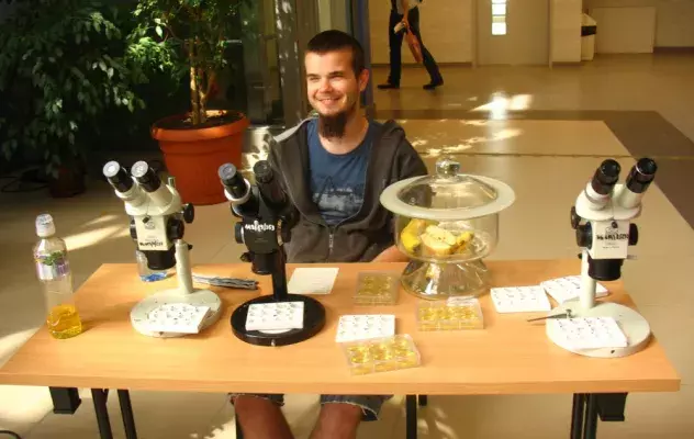 Student prezentujący Drosophila melanogaster pod mikroskopem