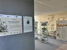 Zaułek Linneusza na Wydziale Biologii - nowa wystawa