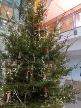 Choinka w pełnej krasie