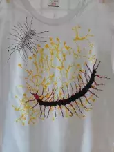 Nagrodzona koszulka ze skolopendrą