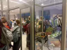 Zwiedzanie ekspozycji i przestrzeni Wydziału Biologii Uniwersytetu Gdańskiego.