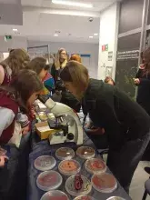 Obserwacje mikroskopowe w ramach zajęć popularnonaukowych