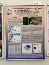 Poster dr Aleksandry Naczk (fot. Monika Lipińska)