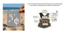 Nowy projekt badawczy na Wydziale Biologii
