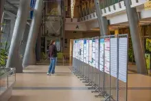 Sesja posterowa