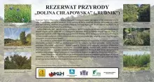 Tablica informacyjna o krajobrazowym rezerwacie przyrody "Dolina Chłapowska"