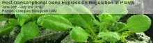 Międzynarodowa Konferencja "Post-transcriptional Gene Expression Regulation in Plants"
