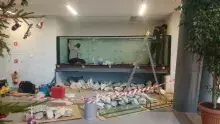 Budowa akwarium