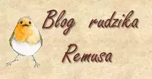 Blog rudzika Remusa