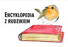 Encyklopedia z rudzikiem
