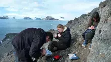 Zespól badawczy podczas pracy terenowej z oceannikami na Wyspie Króla Jerzego (Antarktyda).