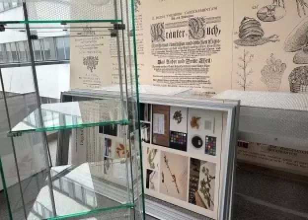 Wystawa Herbarium Pomeranicum - etapy powstawania