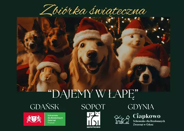 Dajemy w łapę! Wspieramy lokalne schroniska