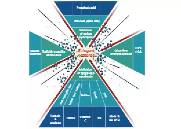 Zwalczanie chorobotwórczych bakterii w dobie…