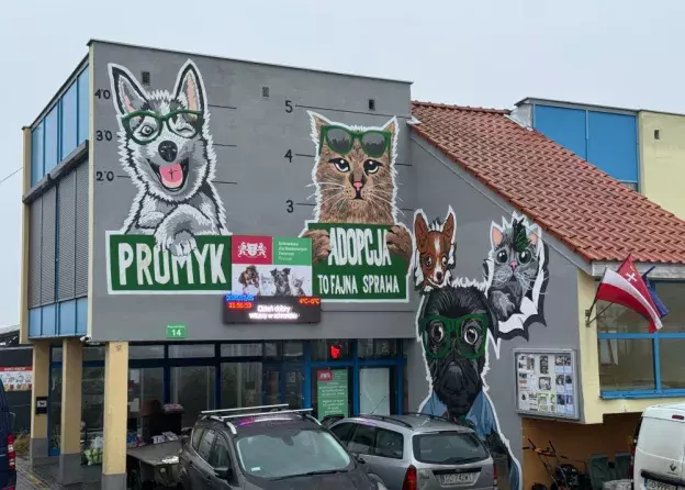 Odwiedziny w Schronisku dla bezdomnych zwierząt w Gdańsku