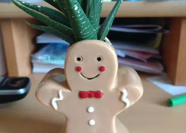 Wyniki świątecznego konkursu wypieków!