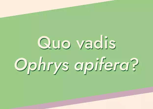 Zapraszamy na seminarium Pracowni Interakcji Roślinnych!