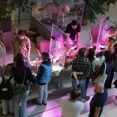 Stoisko z roślinami mięsożernymi, widok z góry