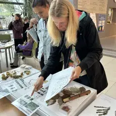 Warsztaty z identyfikacji gatunków inwazyjnych
