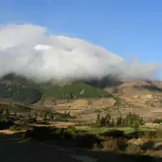 Boliwia - Carrasco - przedpole lasu mgłowego