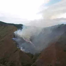 Wyjątkowo suche lato było powodem częstych pożarów na wzgórzach Farallones de Cali