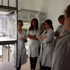 Dzień 2 - "Embriologia eksperymentalna - co można badać i tworzyć w kulturach in vitro organów płciowych roślin", prowadząca: dr Joanna Rojek (Katedra Cytologii i Embriologii Roślin)