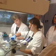 Dzień 2 - "Embriologia eksperymentalna - co można badać i tworzyć w kulturach in vitro organów płciowych roślin", prowadząca: dr Joanna Rojek (Katedra Cytologii i Embriologii Roślin)