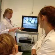 Dzień 3 - "Układ nerwowy bezkręgowców", prowadząca: dr Elżbieta Sontag (Katedra Zoologii Bezkręgowców i Parazytologii)