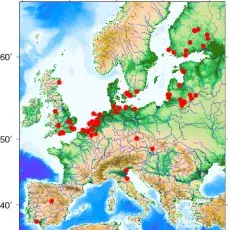Miejsca obrączkowania śmieszek za granicami Polski (117 ptaków, 15 krajów) stwierdzonych później przez nas nad Zatoką Gdańską