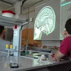 Uczniowie I&#160;LO w&#160;Nowym Dworze Gdańskim na warsztatach "Co w&#160;głowie piszczy - mózg pod lupą i&#160;mikroskopem"<br