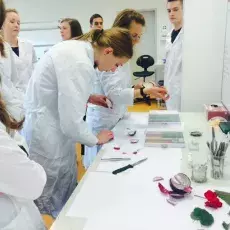 Uczniowie I&#160;LO w&#160;Kościerzynie na warsztatach "Obserwacja mikroskopowa składników komórki roślinnej" <br /> fot. Natali