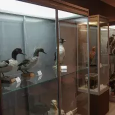 Skarby Muzeum i Instytutu Zoologii PAN w gościnie na Wydziale Biologii UG