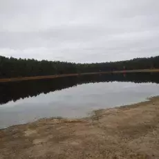 PN „Bory Tucholskie”, - jezioro lobeliowe Wielkie Gacno