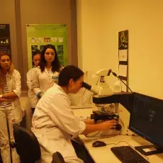 dr Małgorzata Kapusta z Katedry Cytologii i Embriologii Roślin prowadzi zajęcia pt. "Komórka roślinna w mikroskopie fluorescency