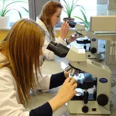 dr Małgorzata Kapusta z Katedry Cytologii i Embriologii Roślin prowadzi zajęcia pt. "Komórka roślinna w mikroskopie fluorescency