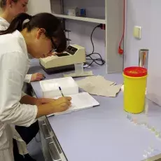 W laboratoriach Katedry Biochemii Ogólnej i&#160;Med spędzamy długie godziny badając rolę białek opiekuńczych. <br />(fot. Piot