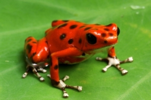 Zdjęcie Biologia