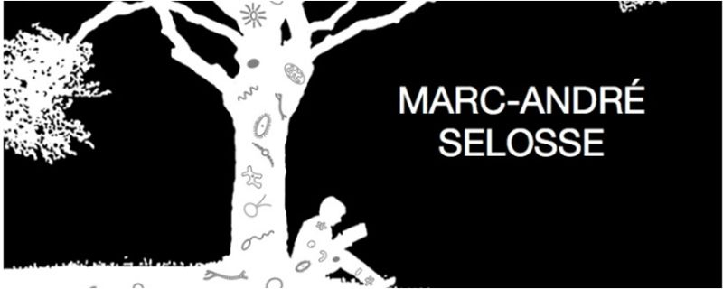 Selosse