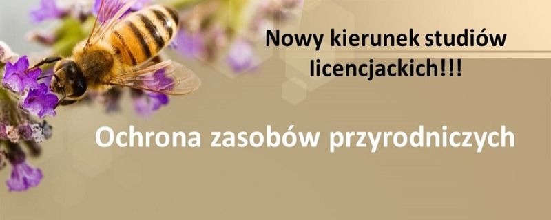 Ochrona zasobów przyrodniczych